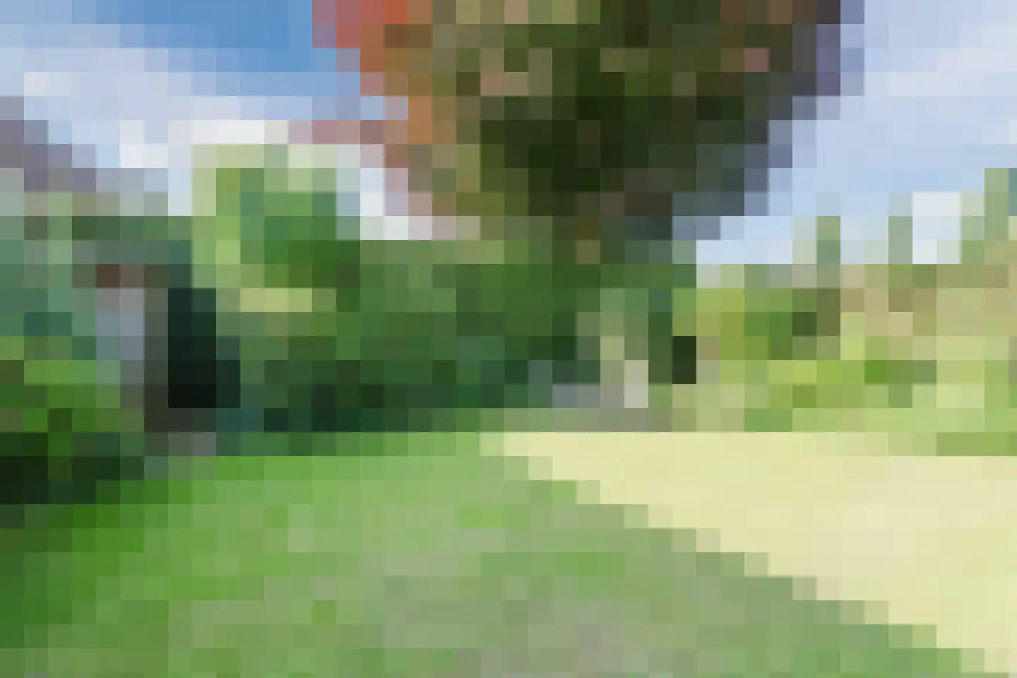 Veldweg 37 Cuijk thumbnail 28