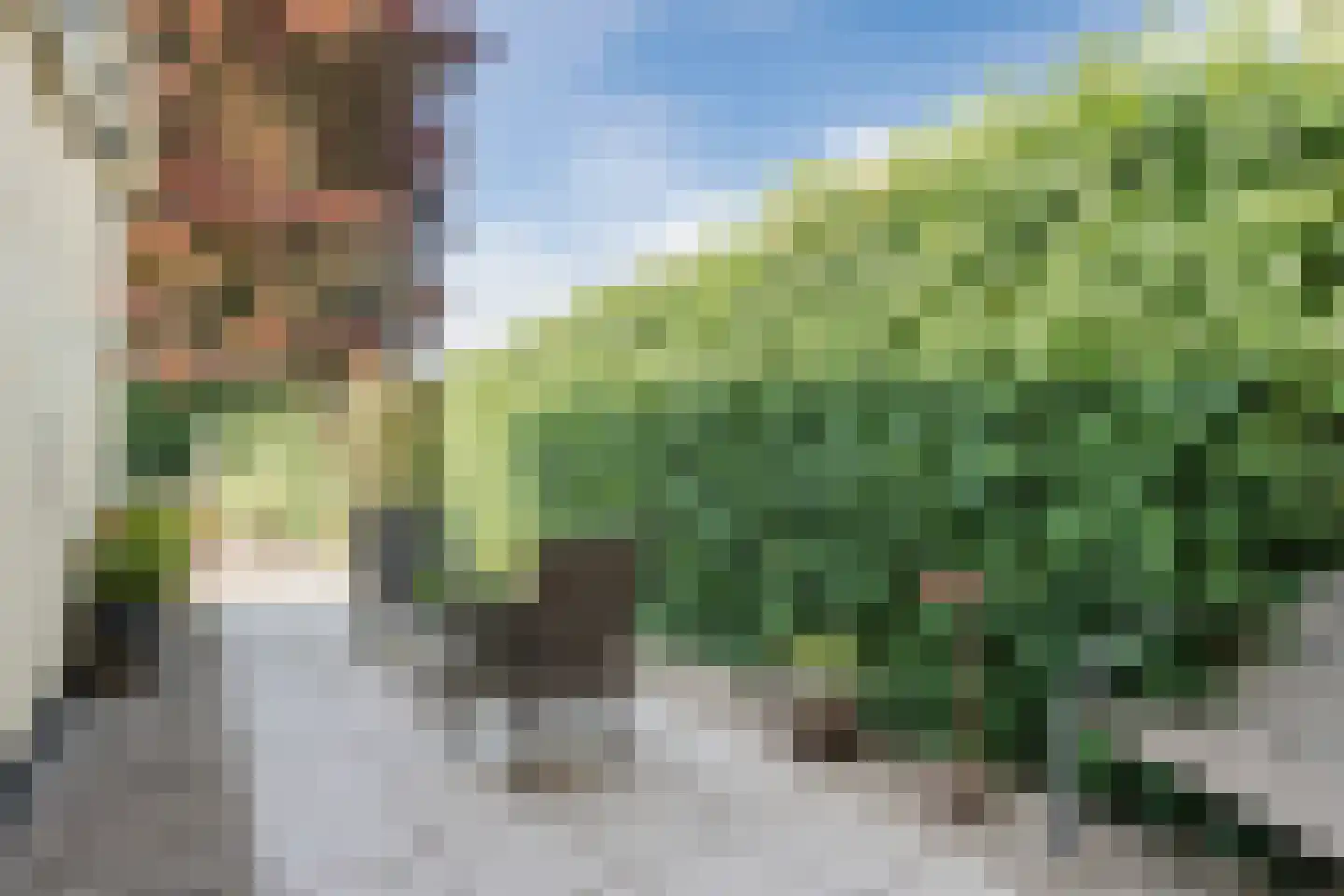 Veldweg 37 Cuijk thumbnail 30