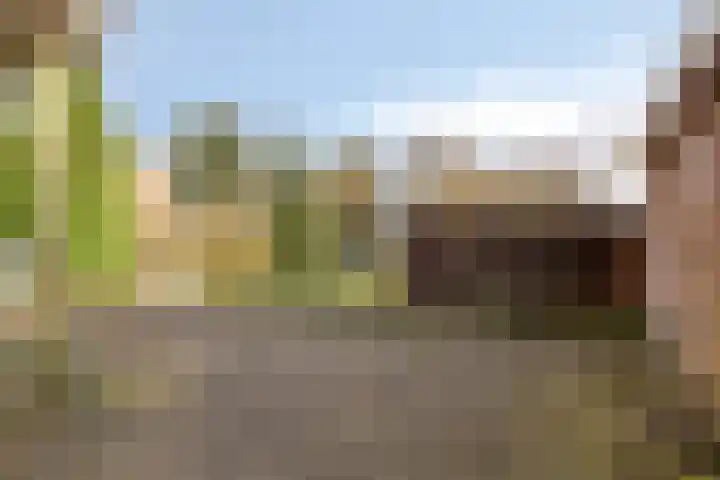 Veldweg 4 A Drempt thumbnail 38