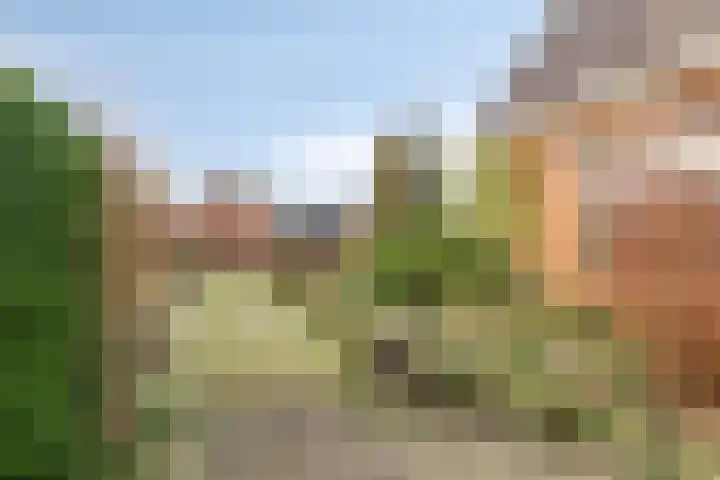 Veldweg 4 A Drempt thumbnail 39