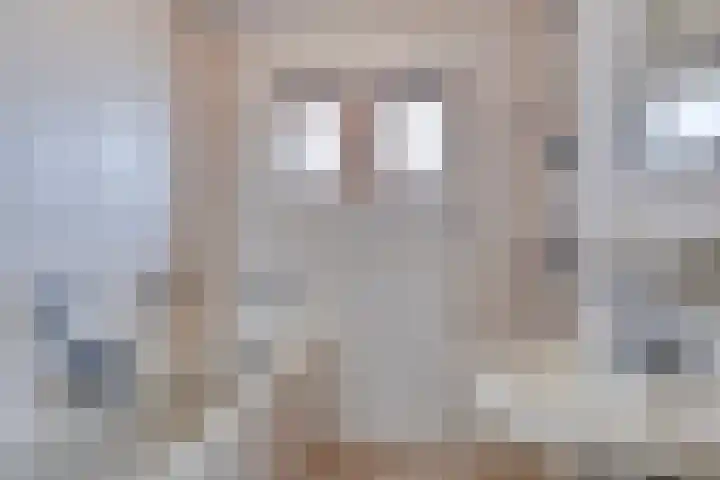 Veldweg 4 A Drempt thumbnail 4