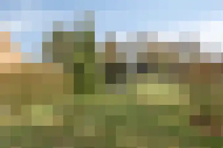Veldweg 4 A Drempt thumbnail 43