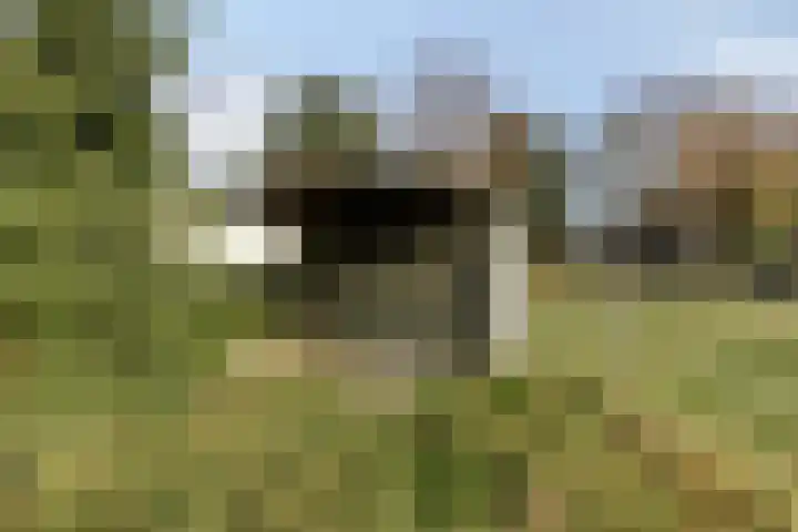 Veldweg 4 A Drempt thumbnail 44