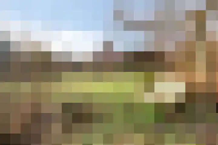 Veldweg 4 A Drempt thumbnail 45