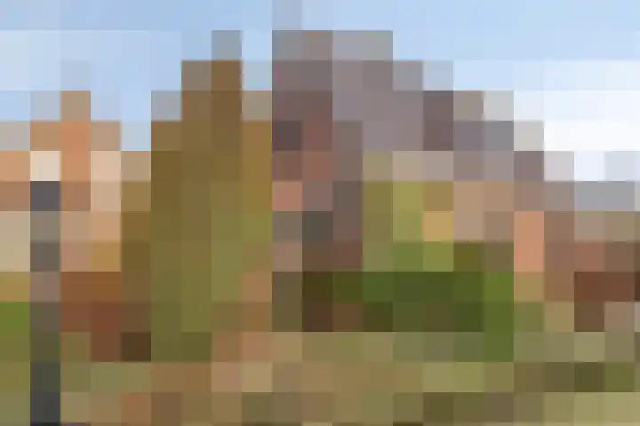 Veldweg 4 A Drempt thumbnail 47