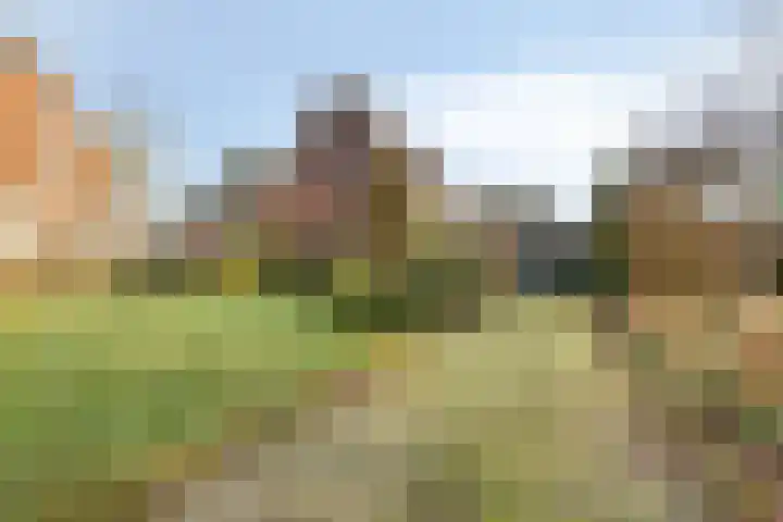 Veldweg 4 A Drempt thumbnail 6