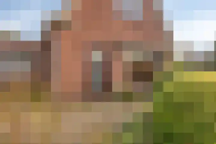 Veldweg 4 A Drempt thumbnail 7
