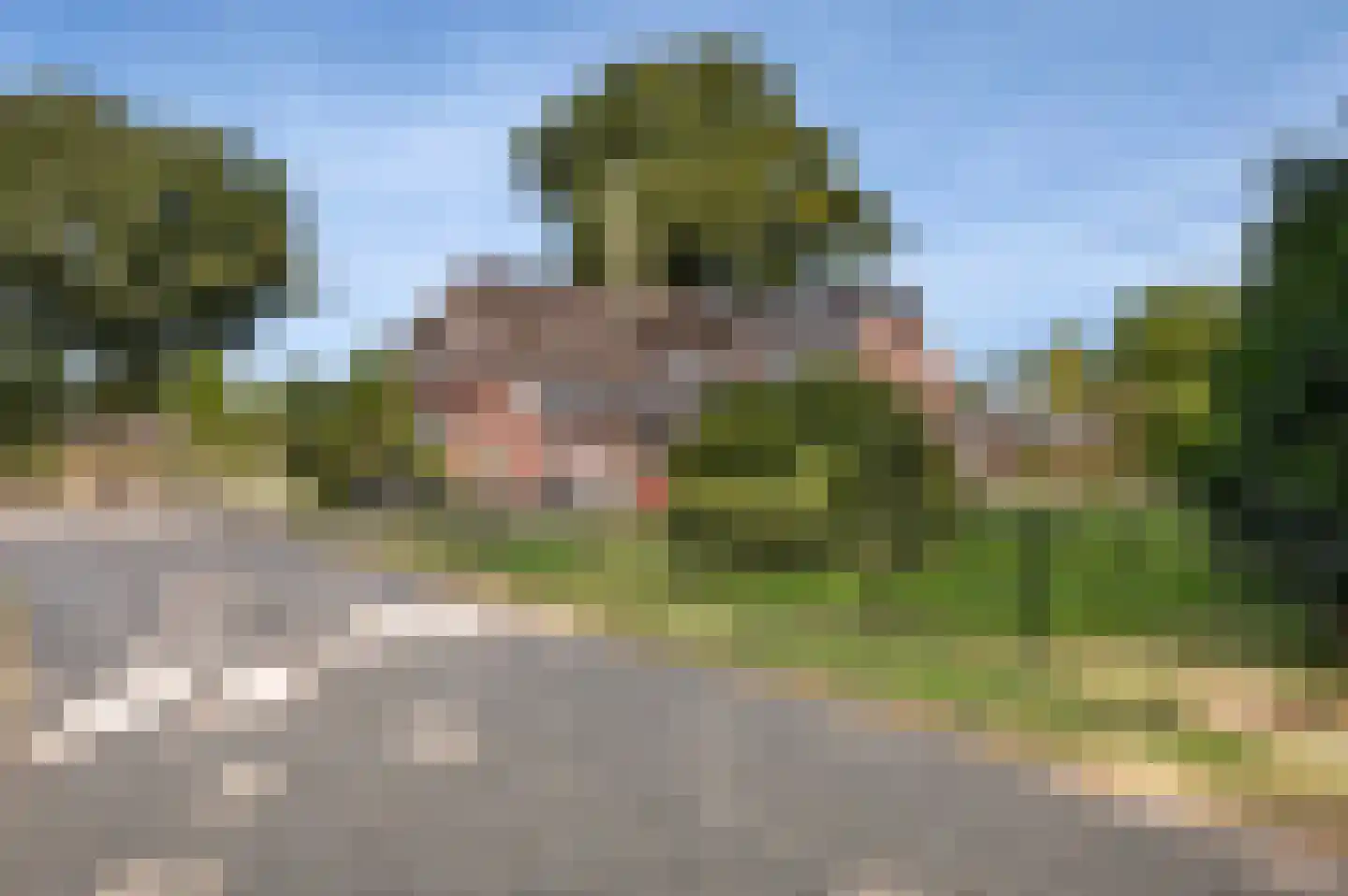 Veldweg 4 Markelo foto 3