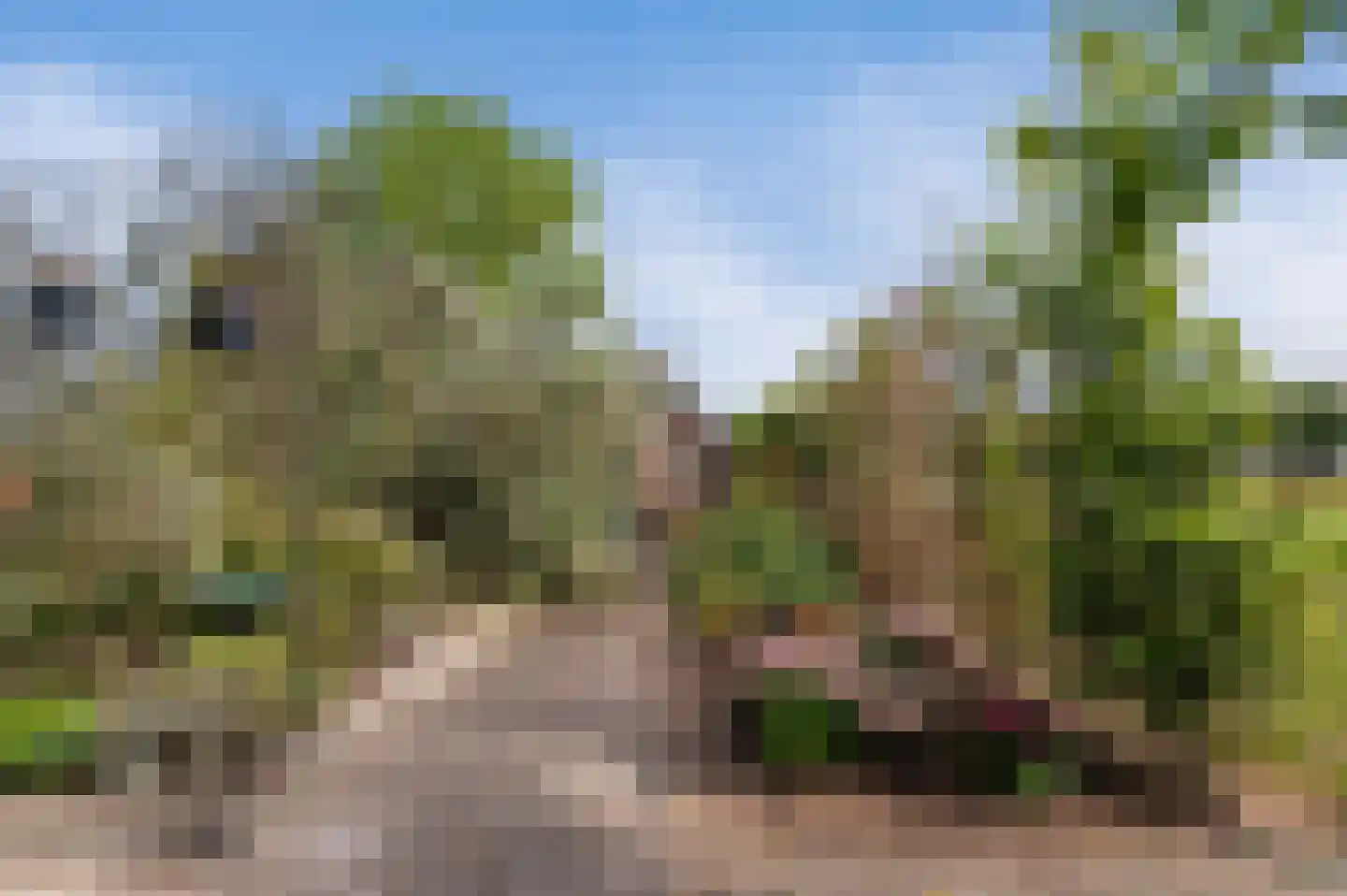 Veldweg 4 Markelo thumbnail 33