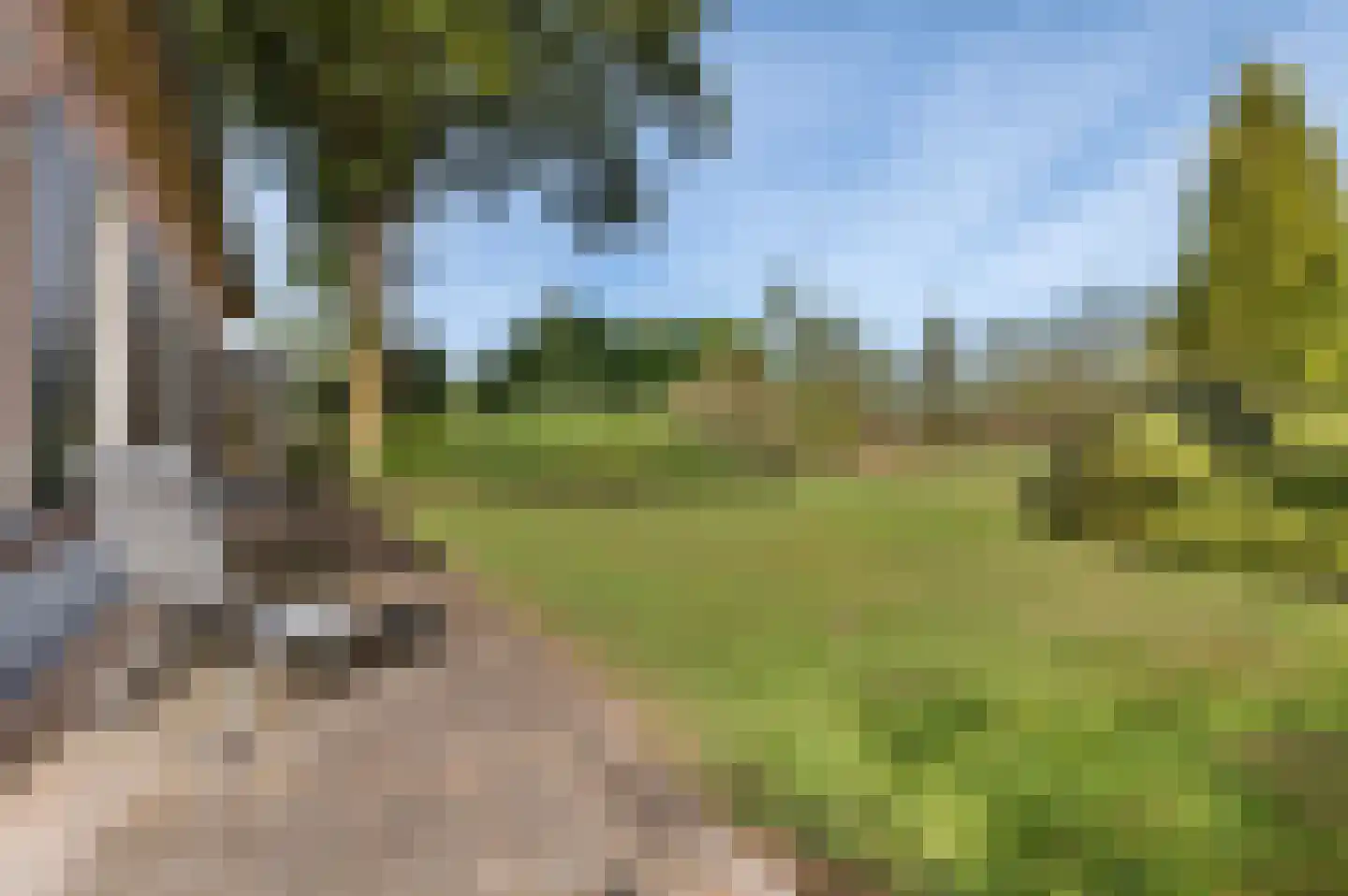 Veldweg 4 Markelo thumbnail 5