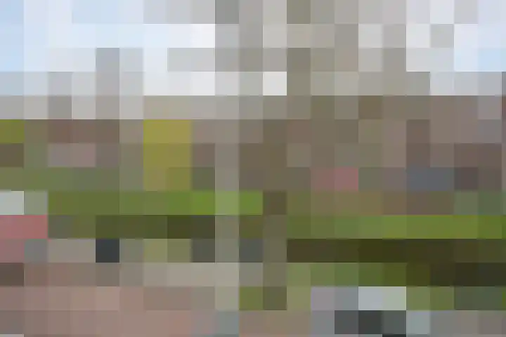 Veldweg 4 Wijchen thumbnail 11