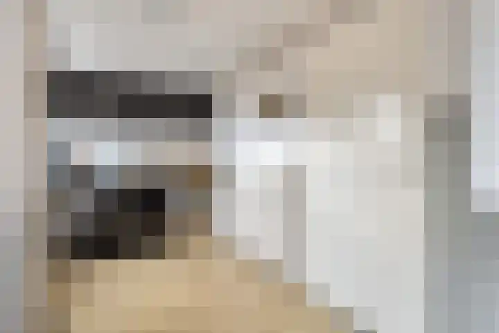 Veldweg 4 Wijchen thumbnail 11