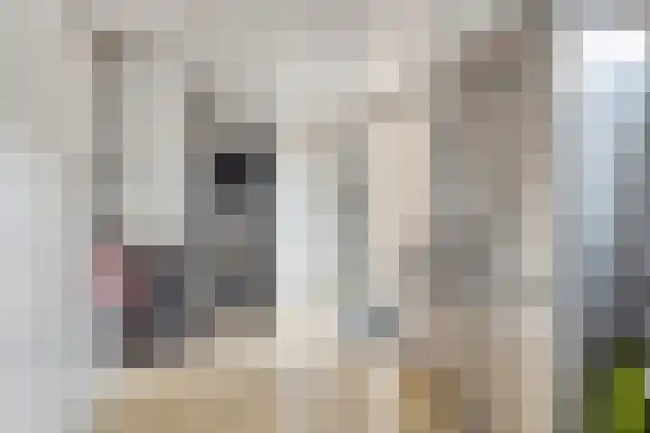 Veldweg 4 Wijchen thumbnail 12