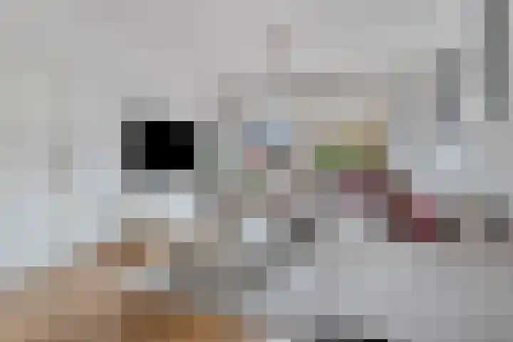 Veldweg 4 Wijchen thumbnail 5