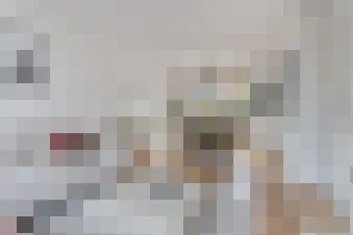 Veldweg 4 Wijchen thumbnail 6
