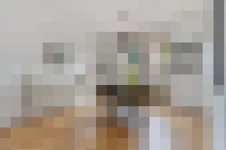 Veldweg 4 Wijchen thumbnail 7