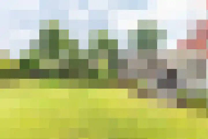 Veldweg 42 Gendringen thumbnail 53