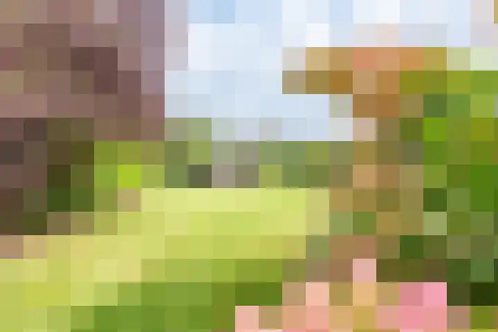 Veldweg 42 Gendringen thumbnail 56