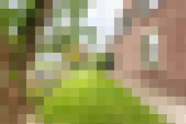 Veldweg 42 Gendringen thumbnail 57