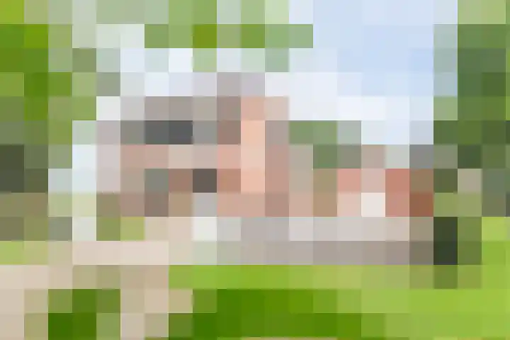 Veldweg 42 Gendringen thumbnail 58