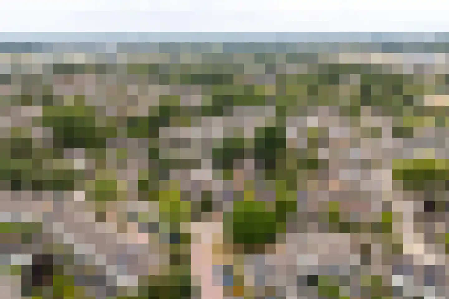 Veldweg 42 Veenendaal thumbnail 52