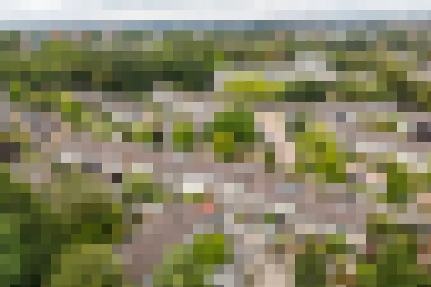 Veldweg 42 Veenendaal thumbnail 53