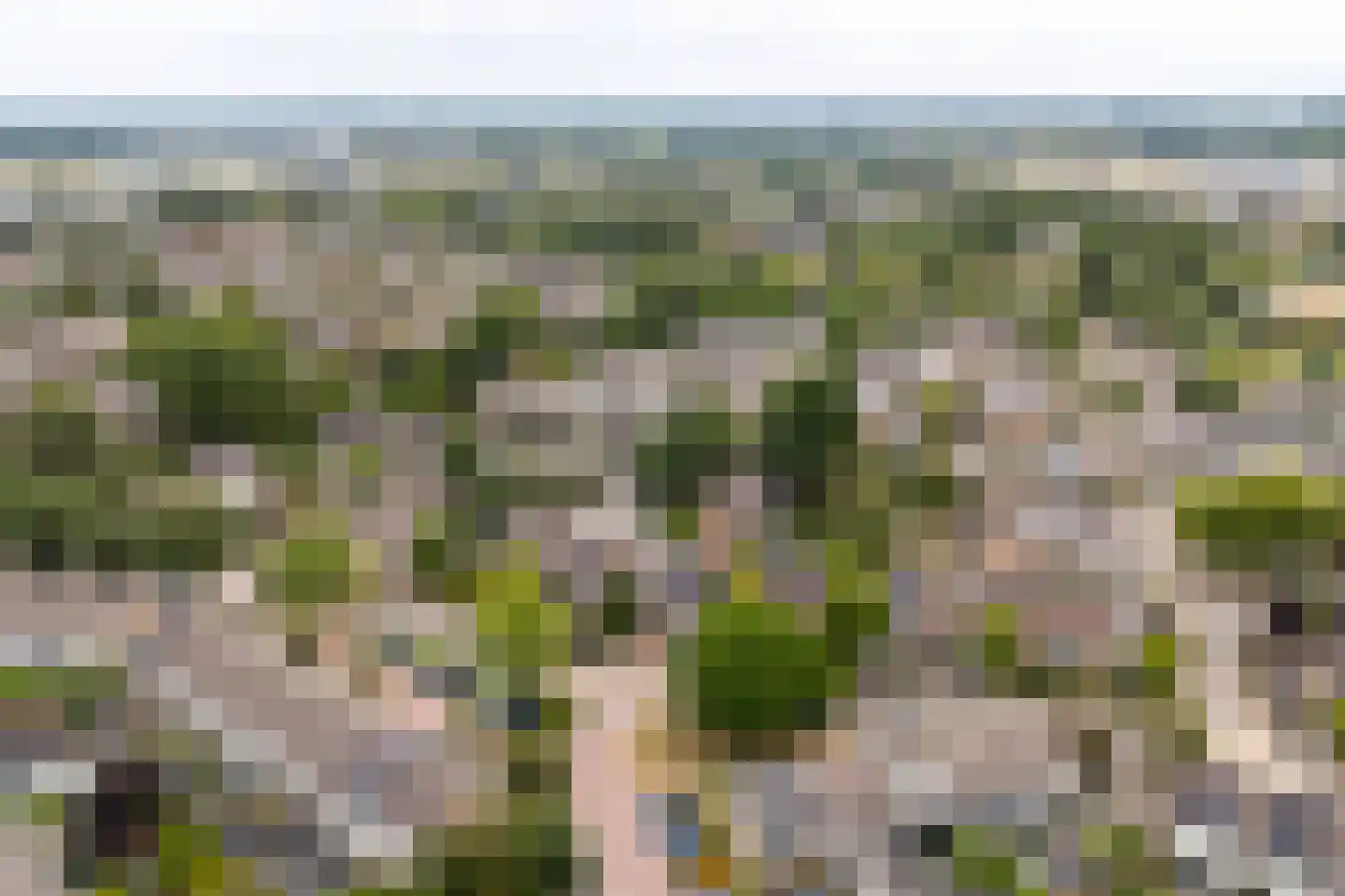 Veldweg 42 Veenendaal thumbnail 61