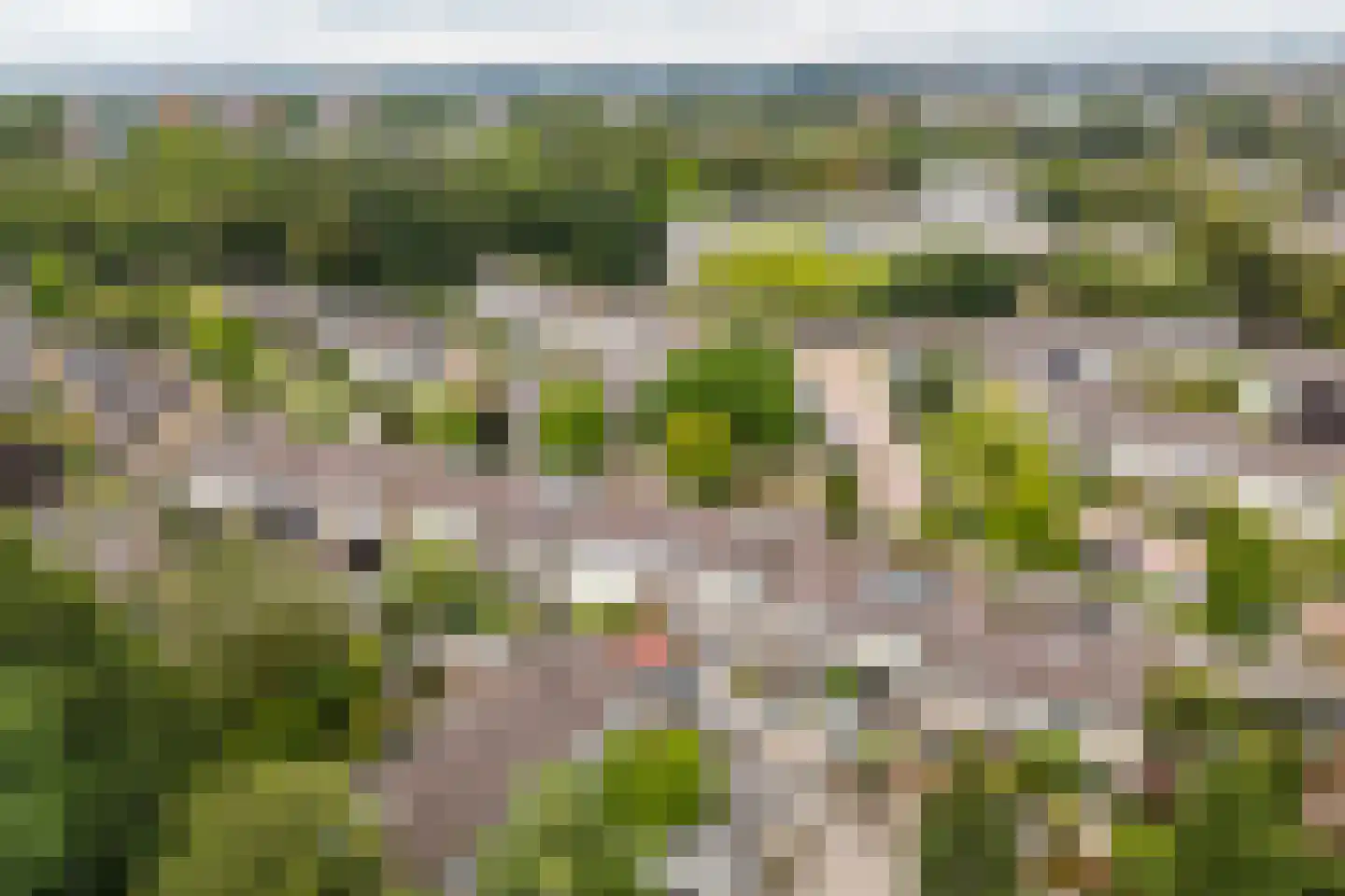 Veldweg 42 Veenendaal thumbnail 62