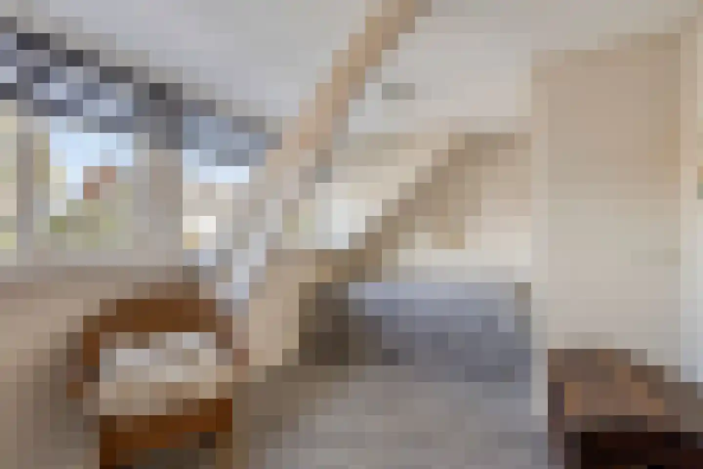 Veldweg 43 Westzaan thumbnail 22