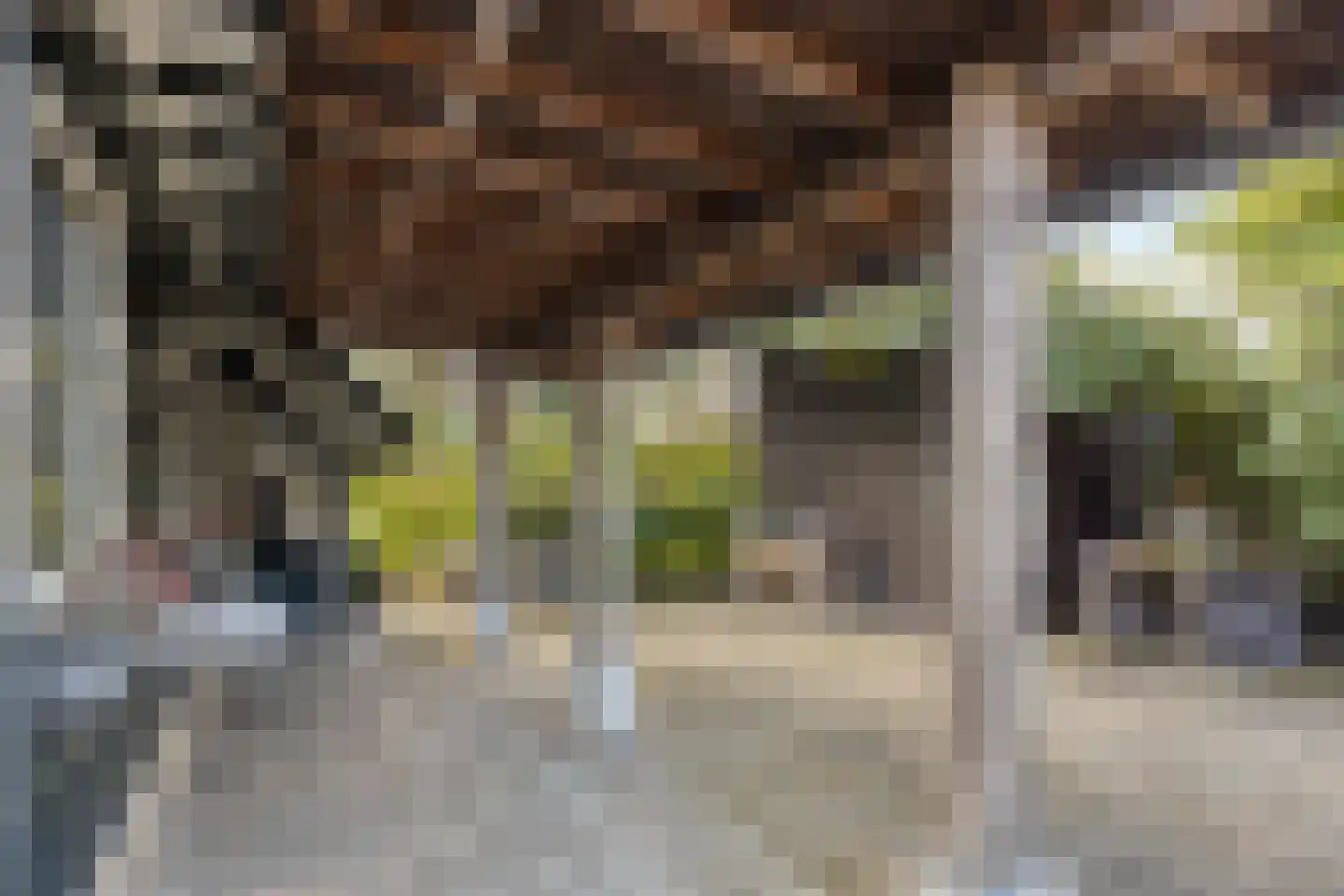 Veldweg 43 Westzaan thumbnail 30