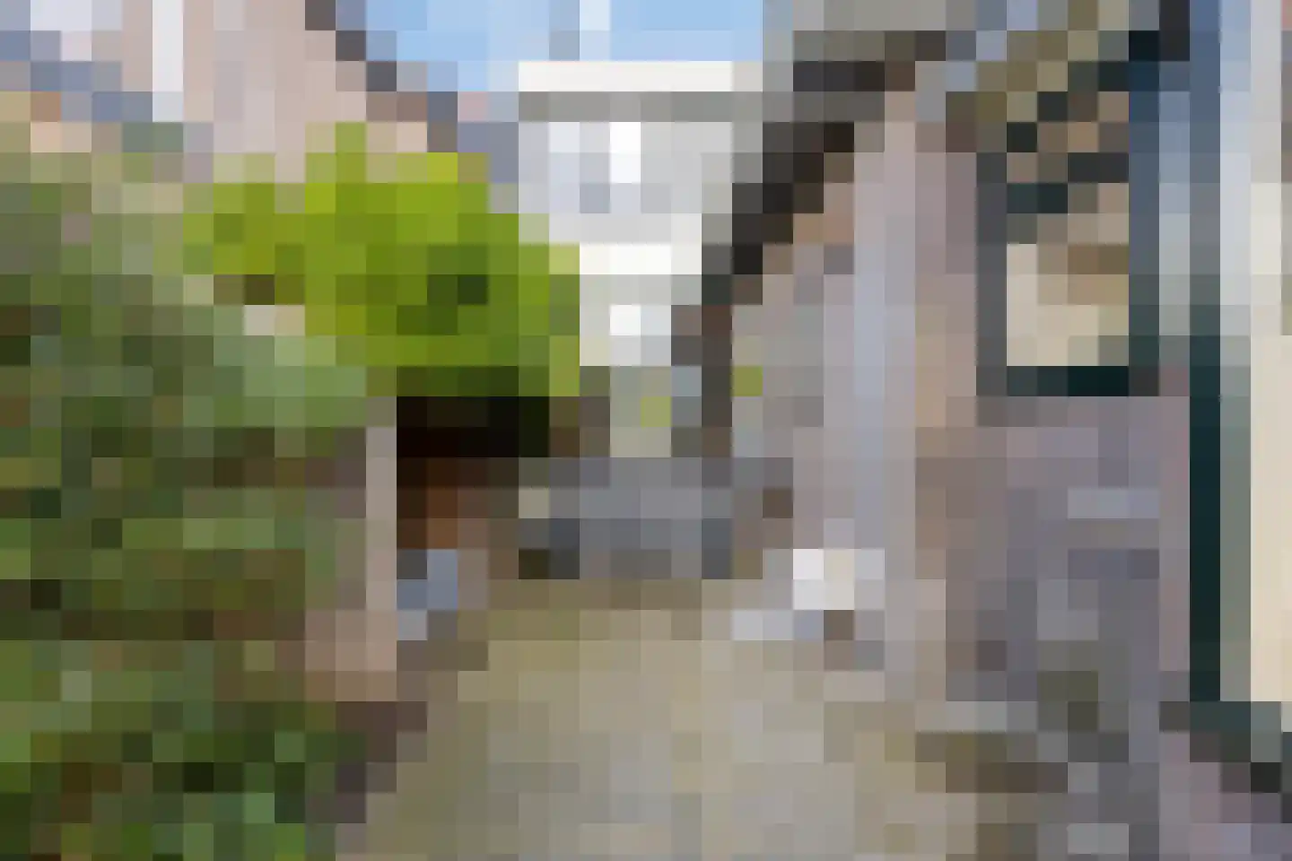 Veldweg 43 Westzaan thumbnail 32