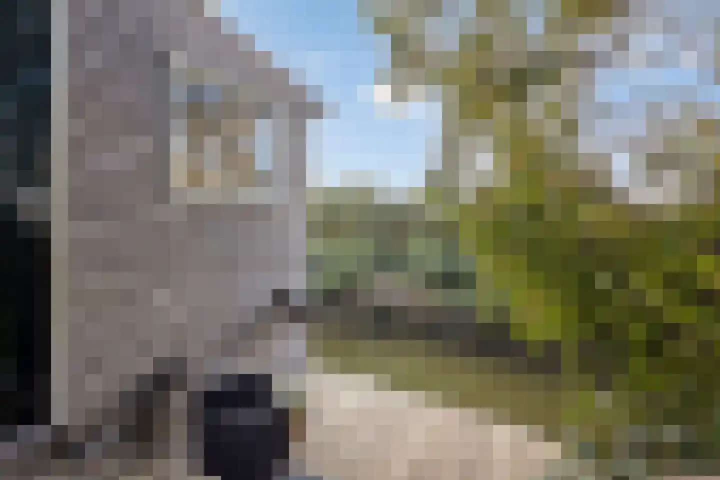Veldweg 43 Westzaan thumbnail 34