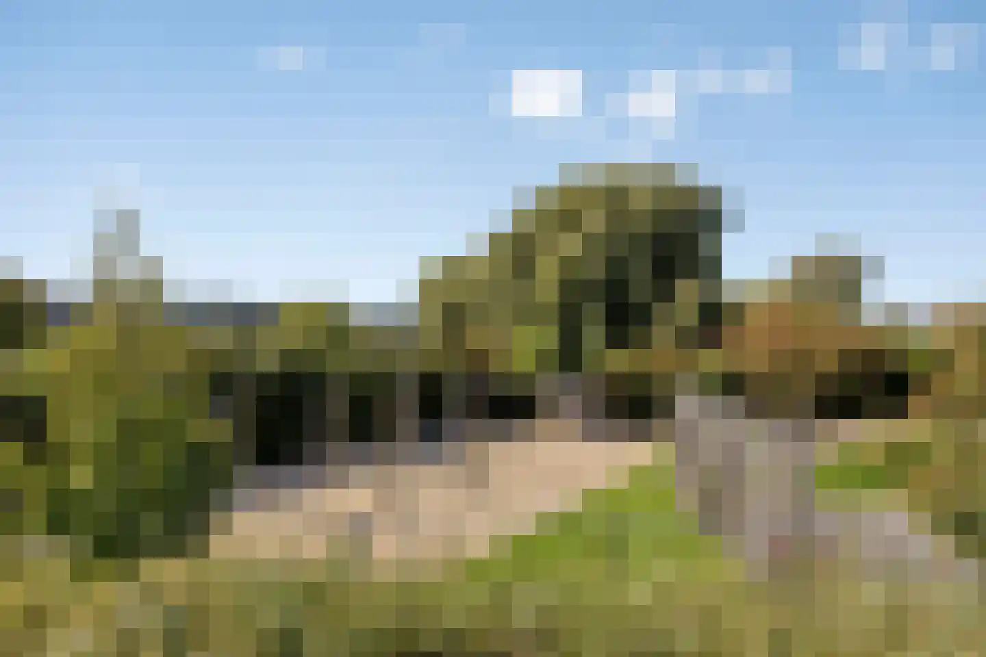 Veldweg 43 Westzaan thumbnail 37