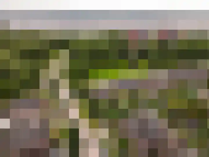 Veldweg 45 Almere thumbnail 47