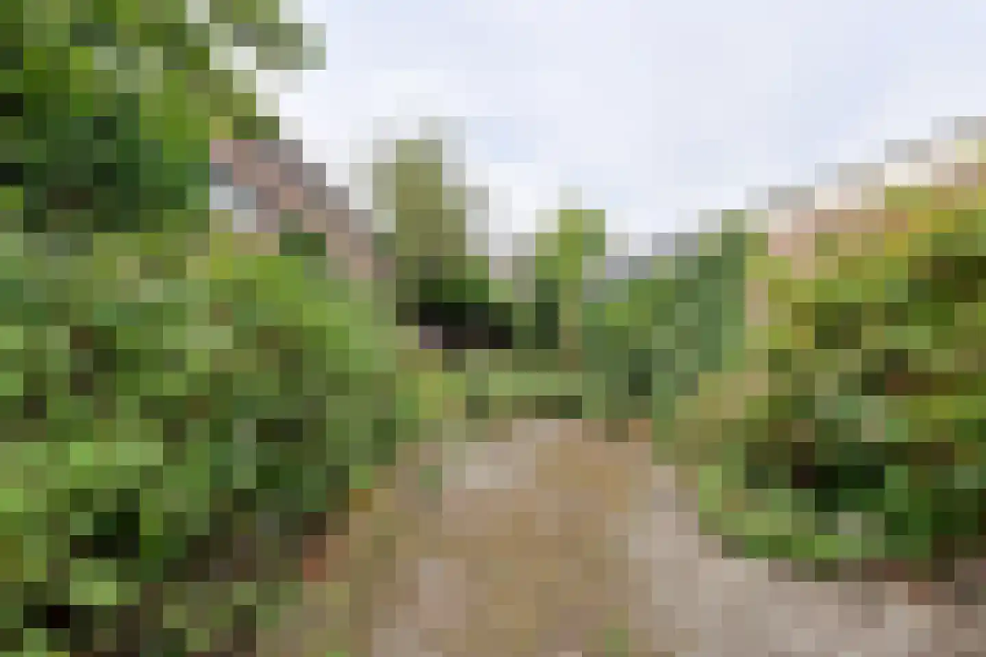 Veldweg 5 Laren thumbnail 11