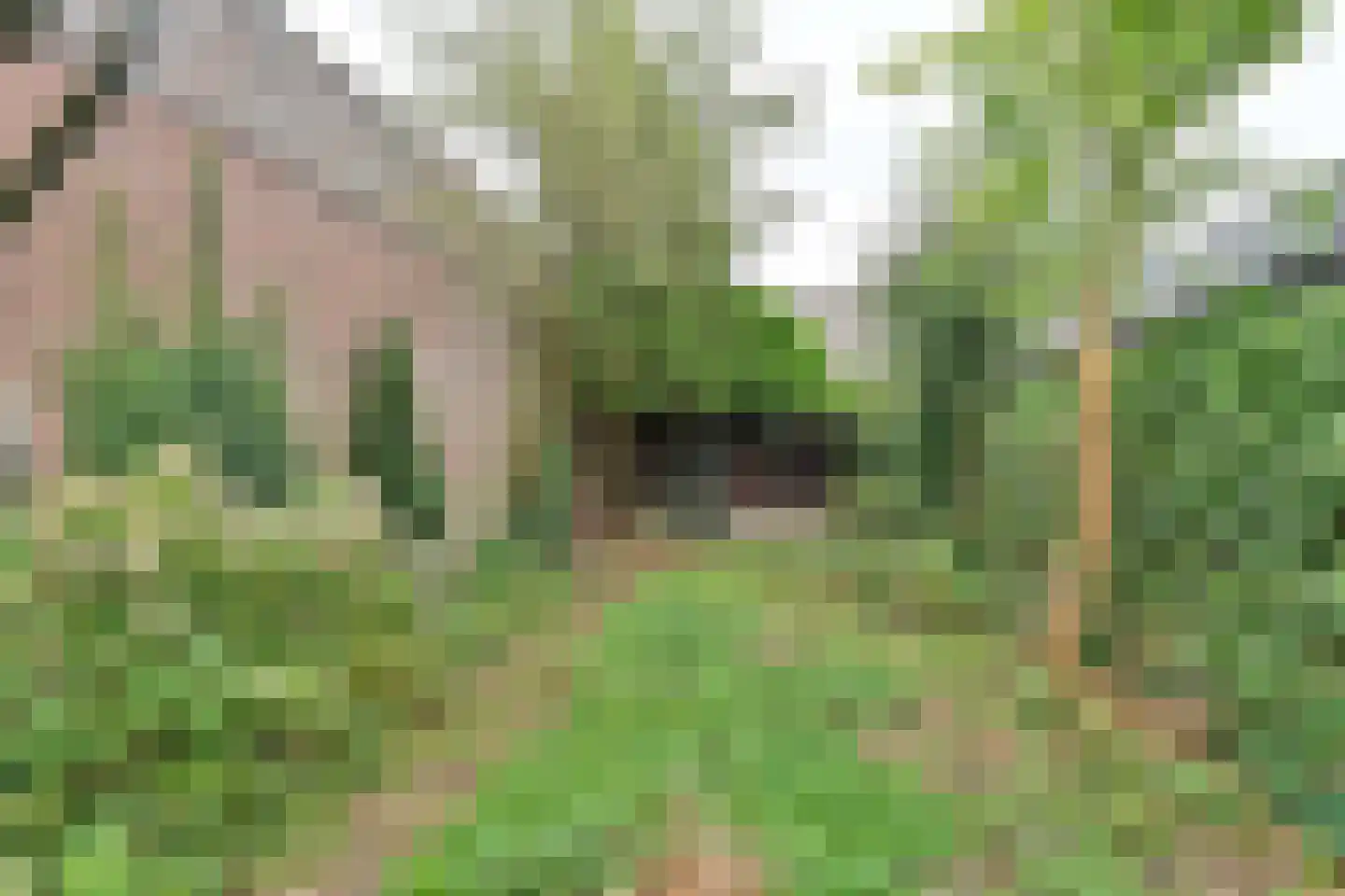 Veldweg 5 Laren thumbnail 12