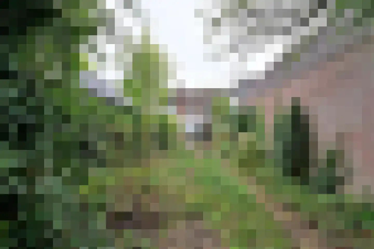 Veldweg 5 Laren thumbnail 13