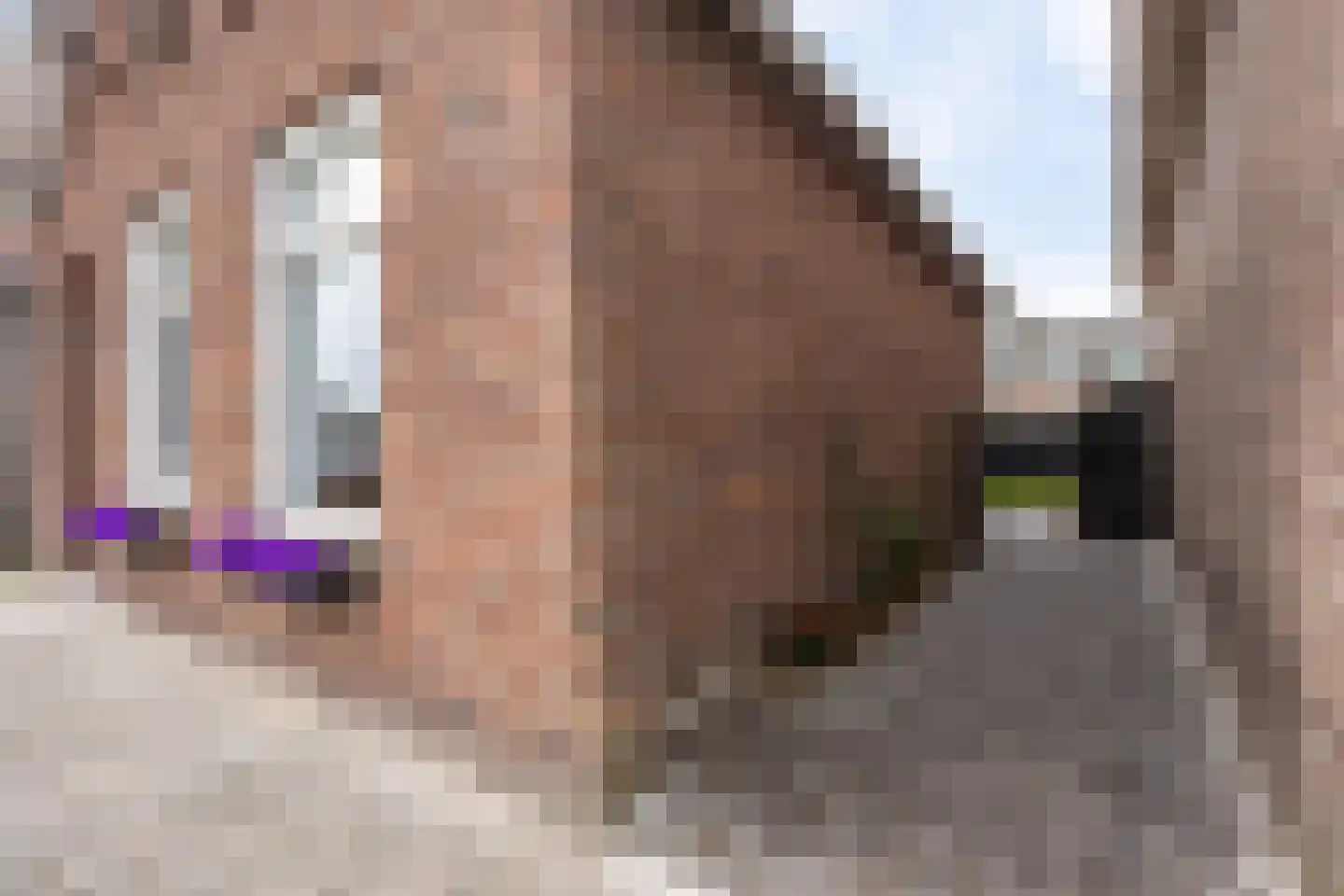 Veldweg 5 Zwartsluis thumbnail 10