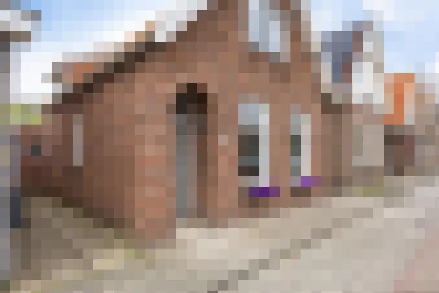 Veldweg 5 Zwartsluis thumbnail 11