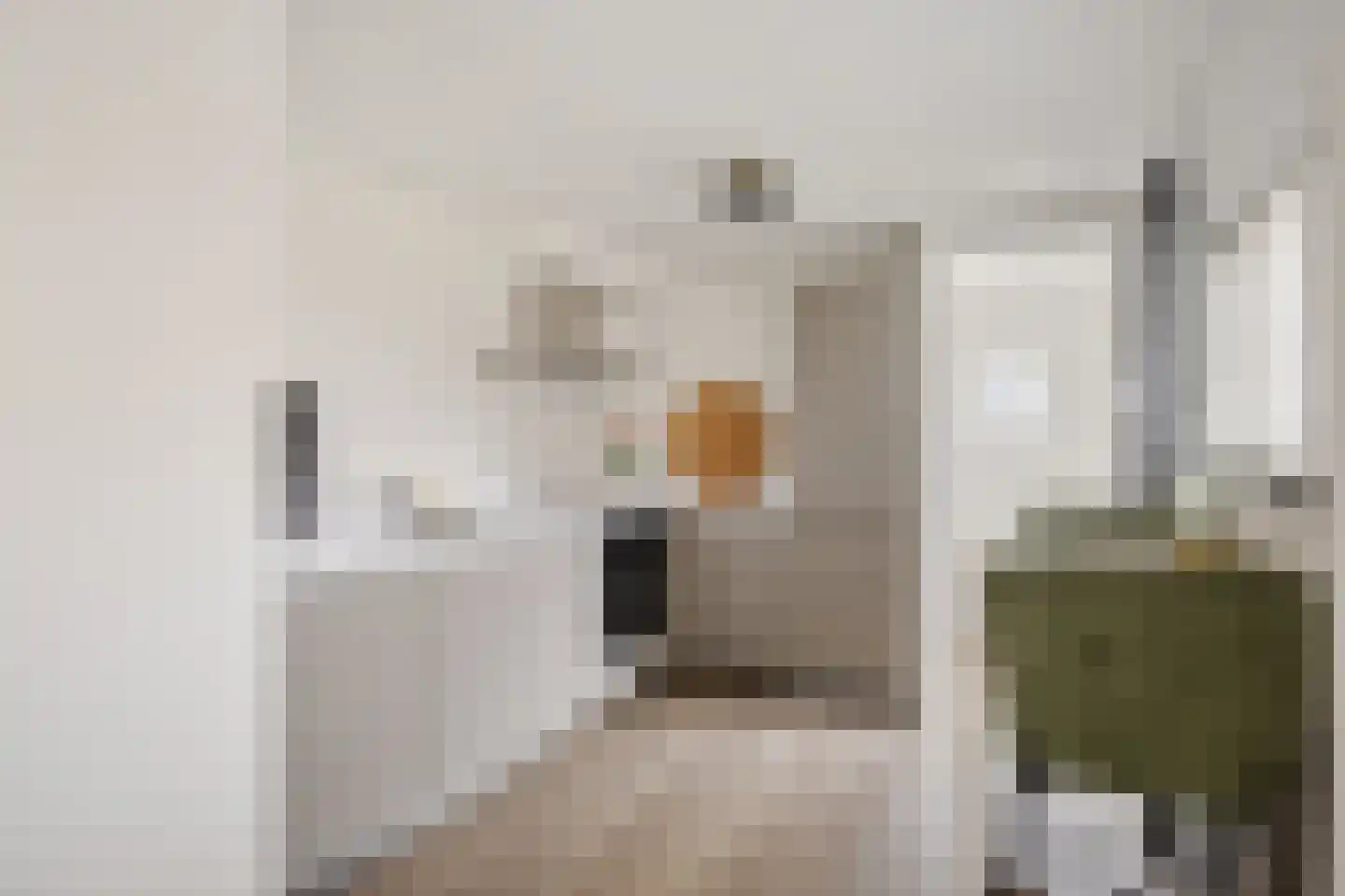 Veldweg 5 Zwartsluis thumbnail 21