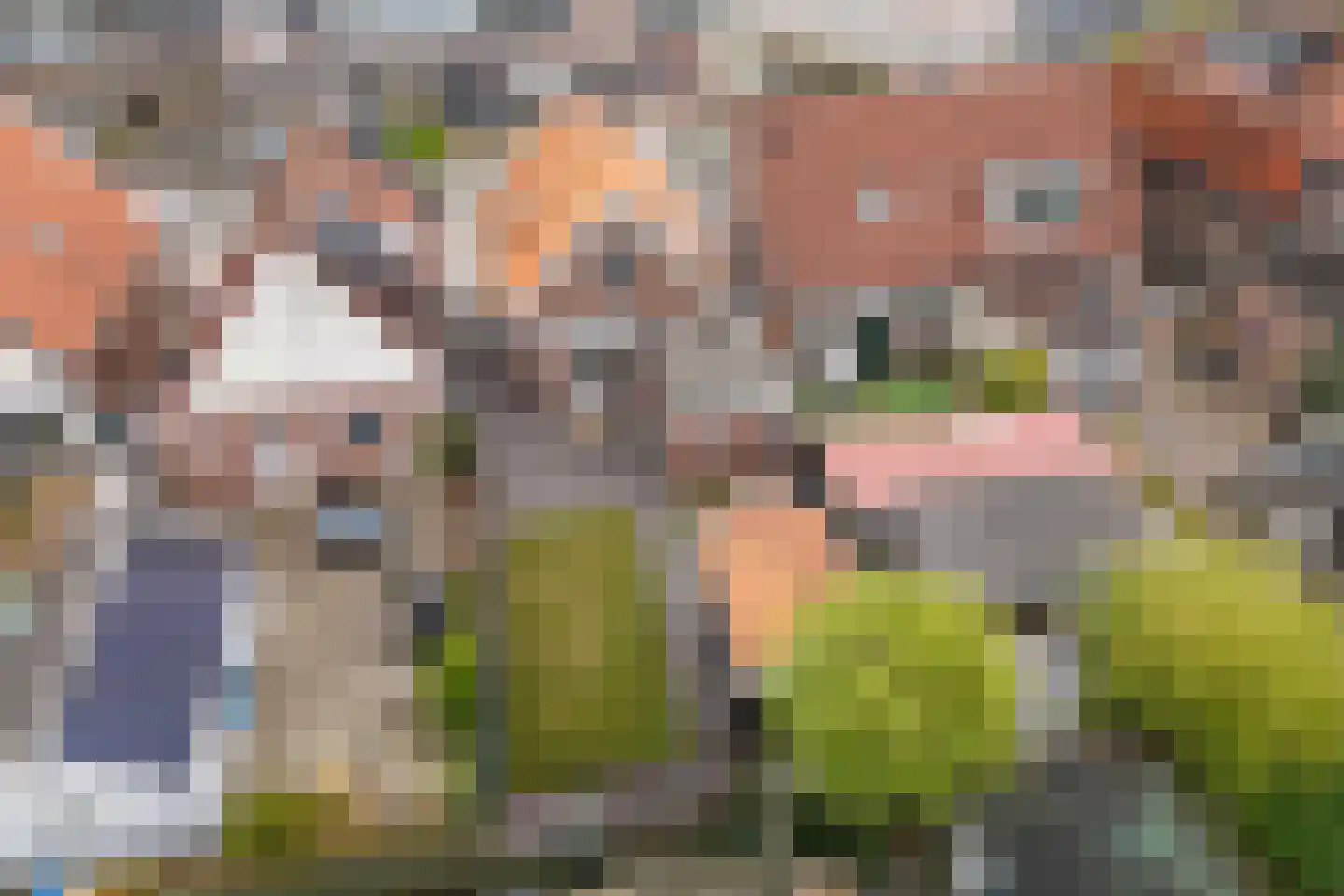 Veldweg 5 Zwartsluis thumbnail 29