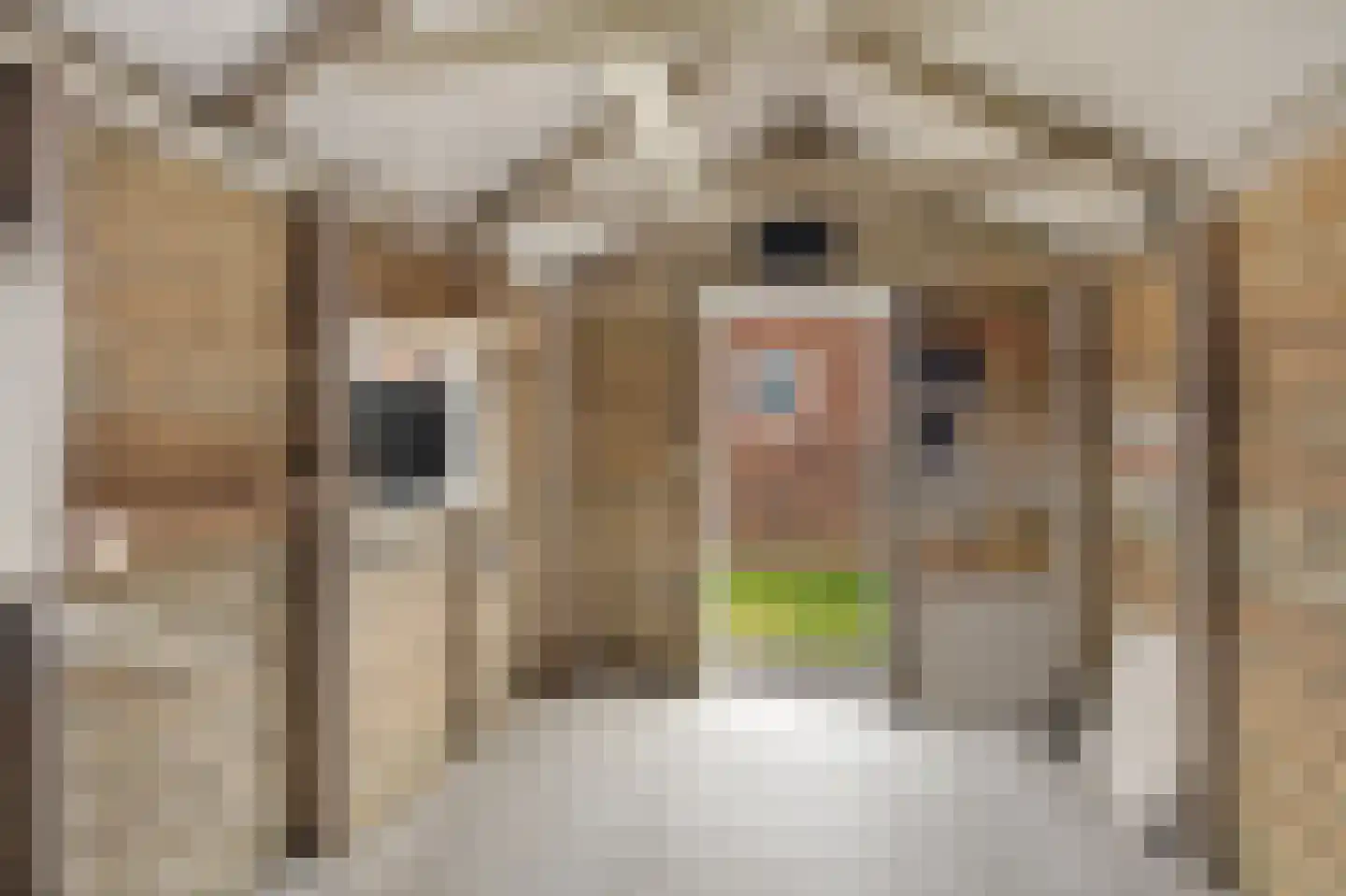 Veldweg 5 Zwartsluis thumbnail 31