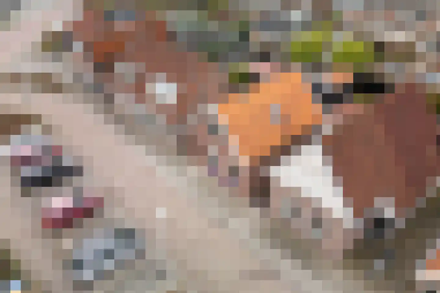 Veldweg 5 Zwartsluis thumbnail 5