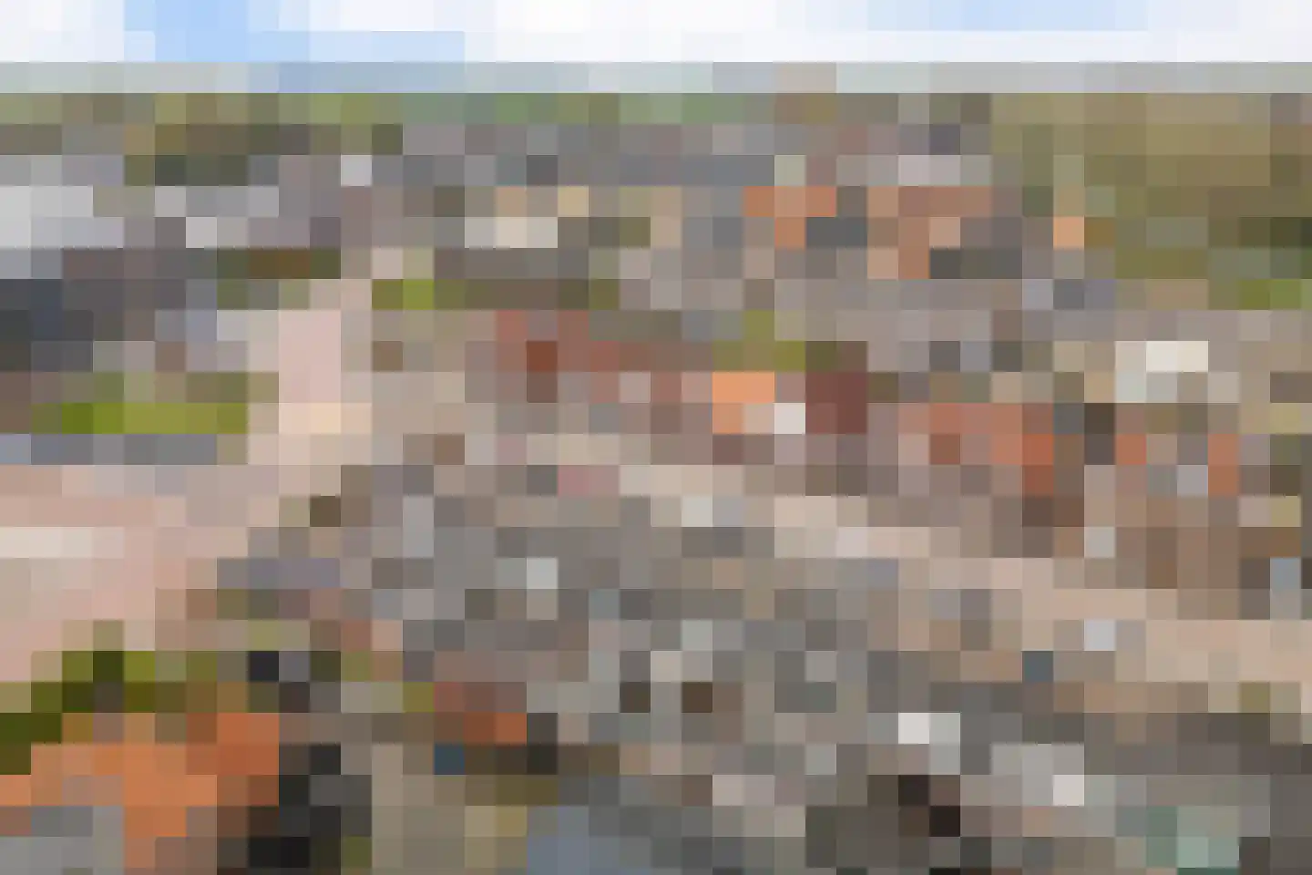 Veldweg 5 Zwartsluis thumbnail 6