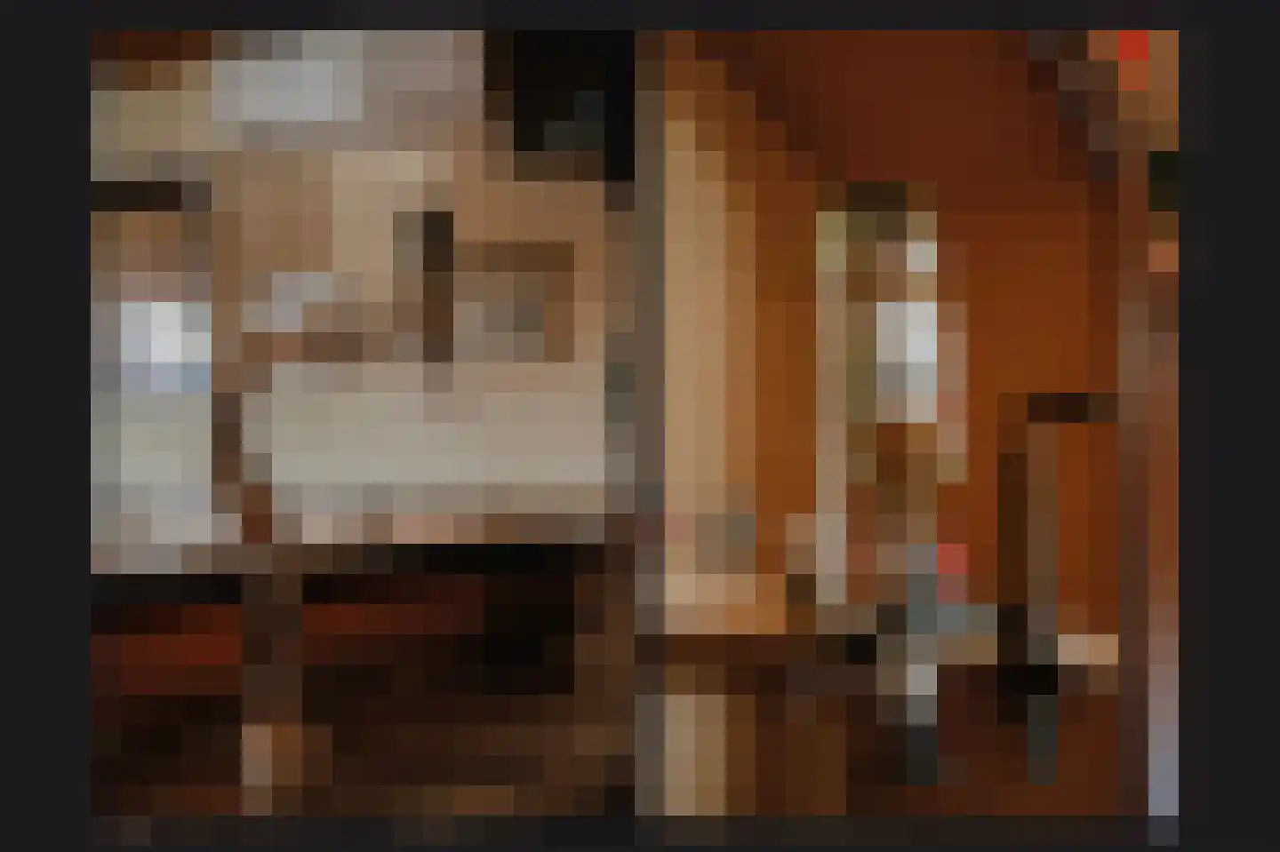 Veldweg 6 b Hedel thumbnail 36