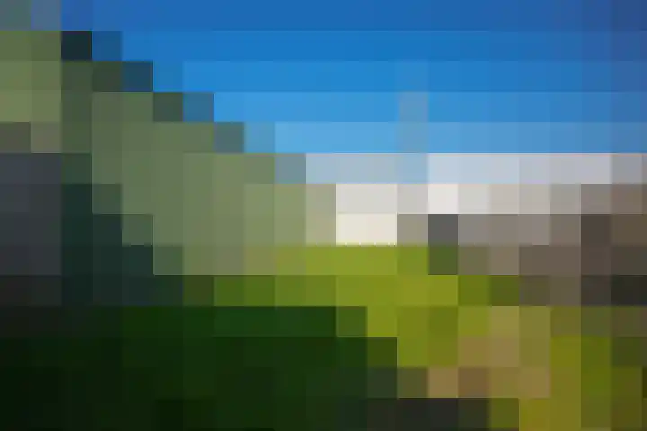 Veldweg 6 b Hedel thumbnail 55