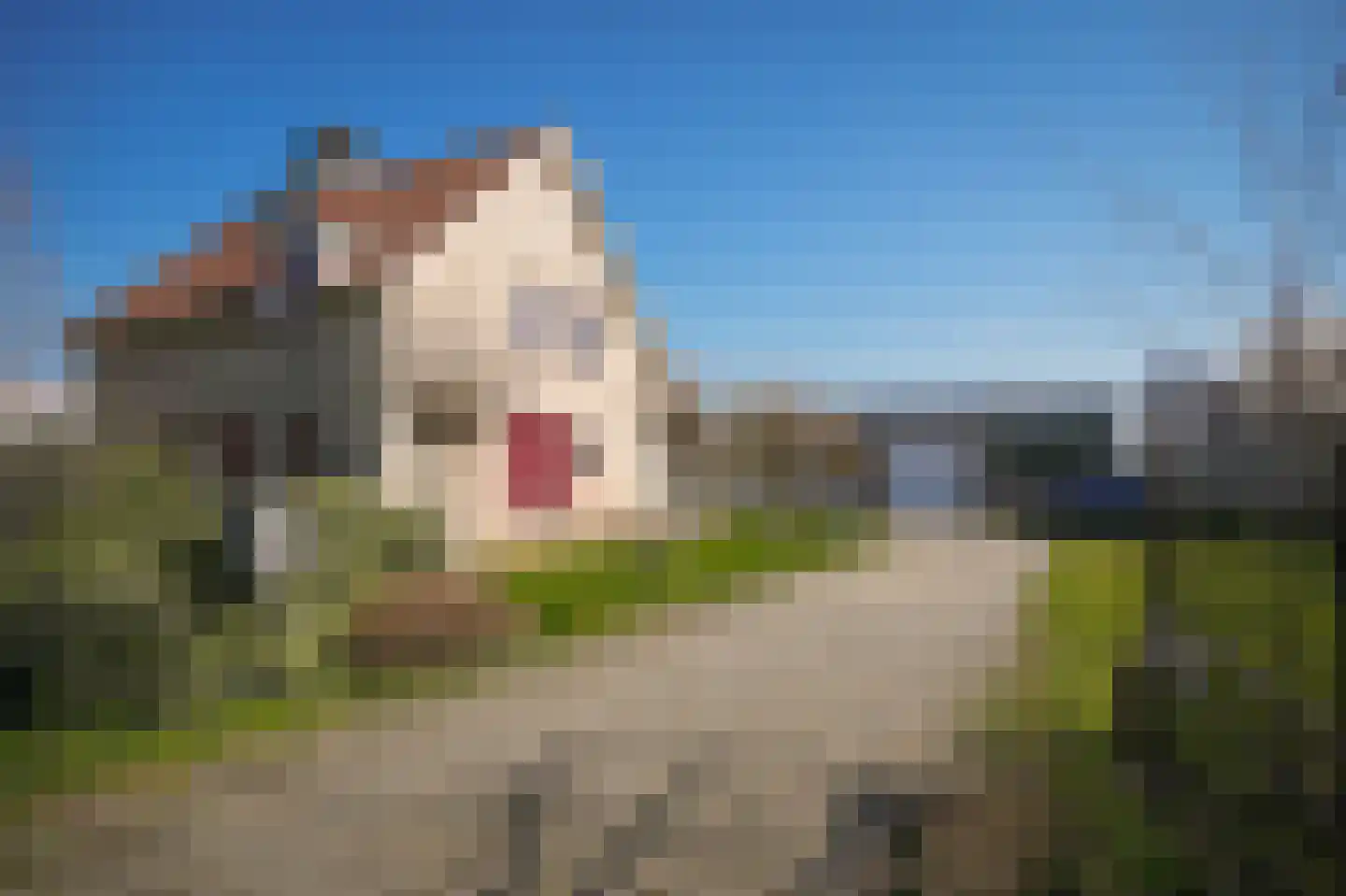 Veldweg 6 b Hedel thumbnail 59