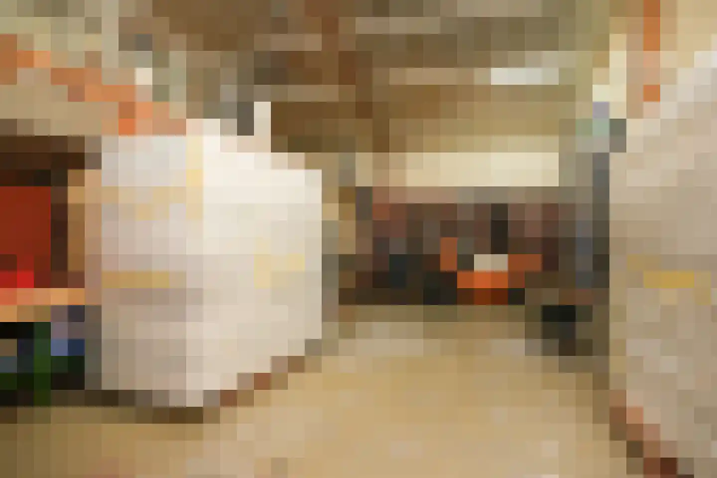 Veldweg 6 b Hedel thumbnail 7