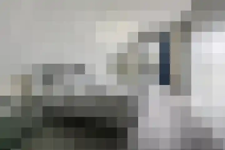 Veldweg 6 Buren thumbnail 12