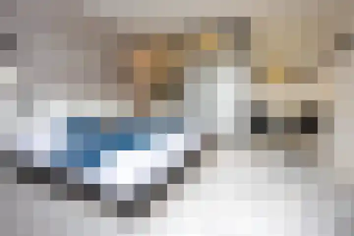 Veldweg 6 Buren thumbnail 18